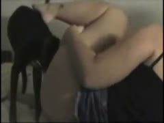 Blonde teen animal sex with her pet canine on the bed